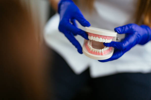 Reliable Levelland, TX  Holistic Dental Services Solutions